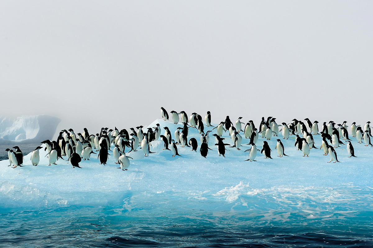 VACAYA Croisière en Antarctique 2027