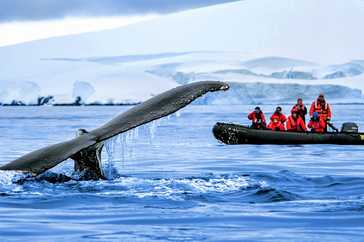 VACAYA Croisière en Antarctique 2027