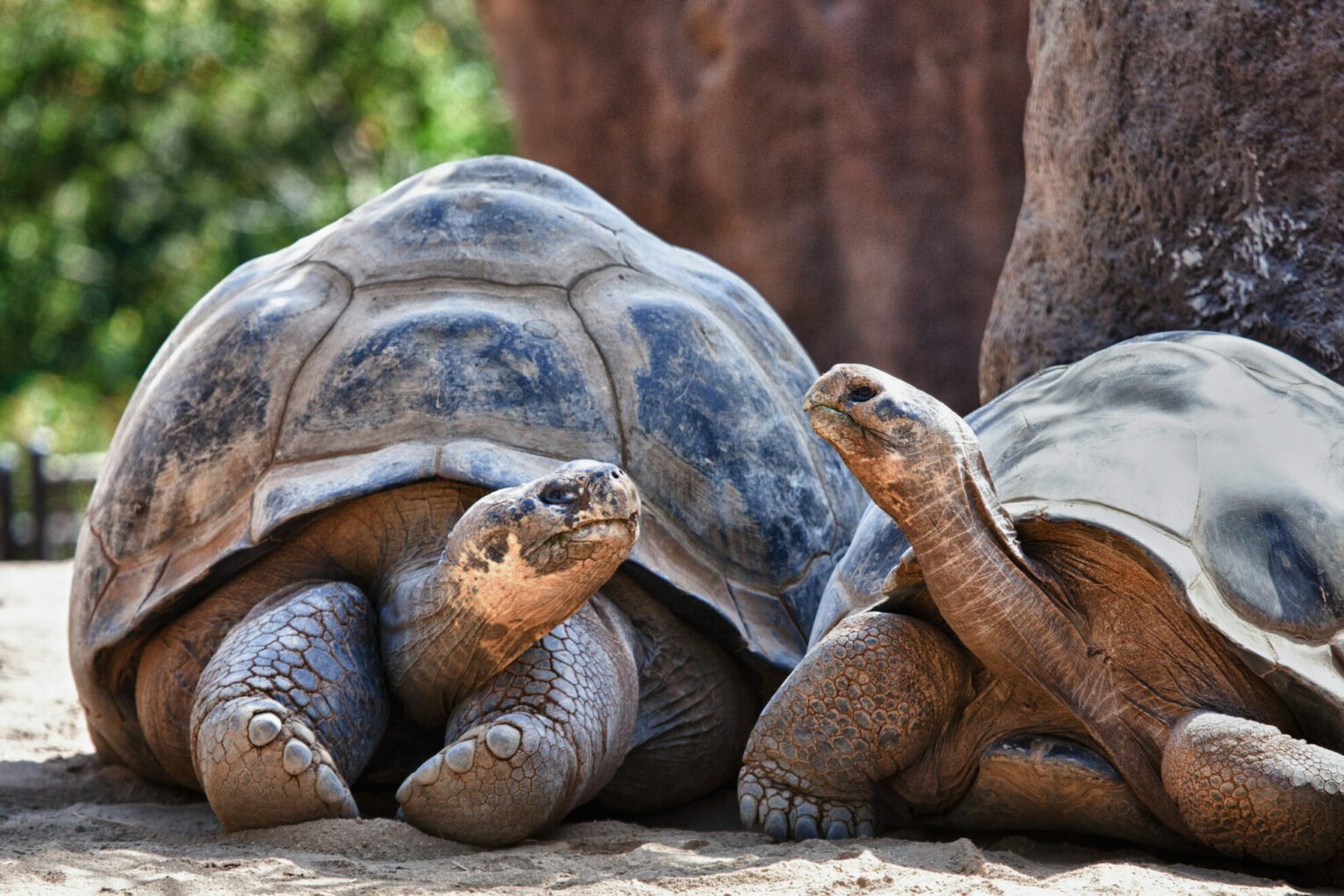 Croisière de luxe aux Galapagos