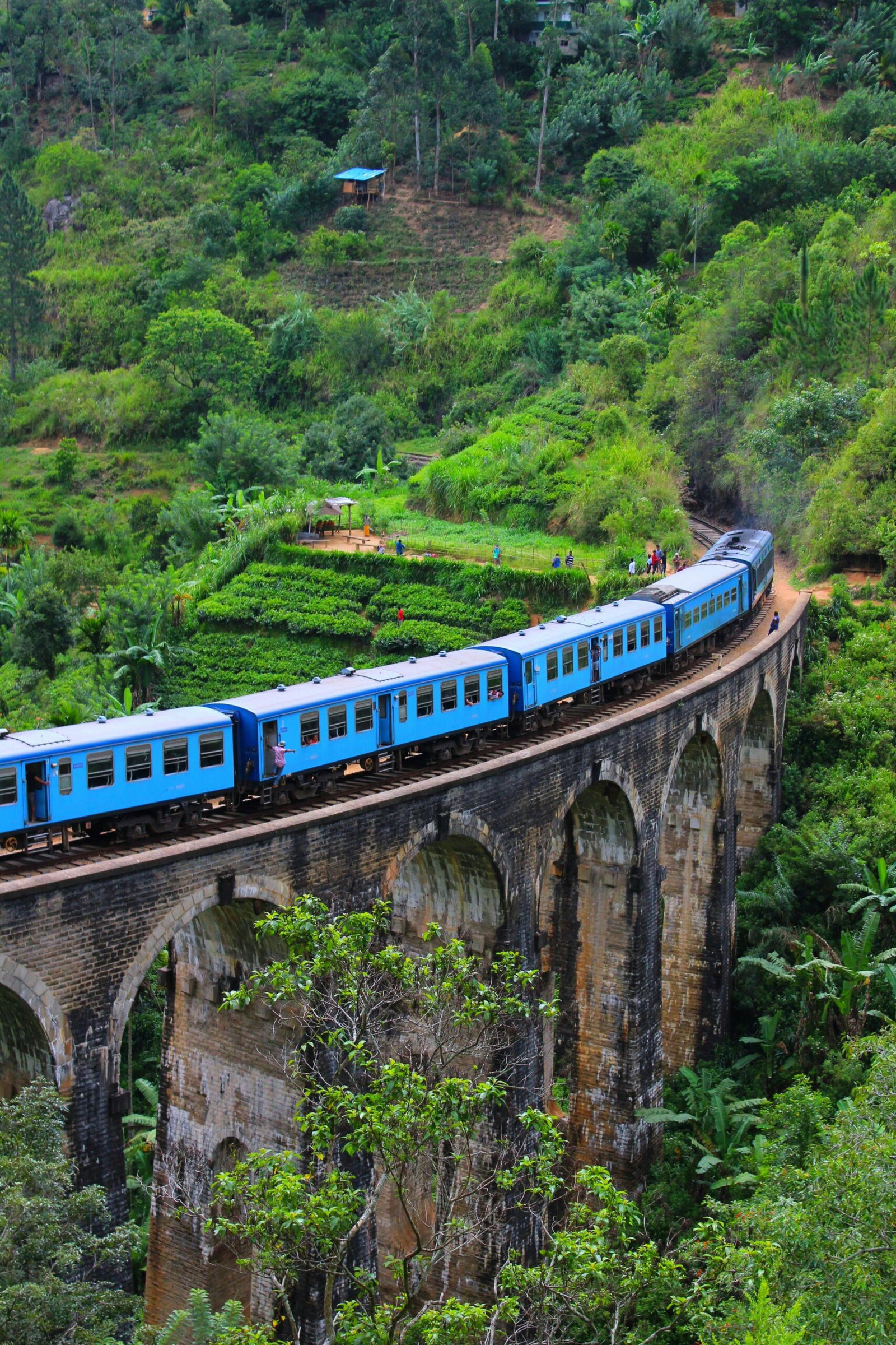 Paths of Ceylon: An Intimate Journey Through Sri Lanka