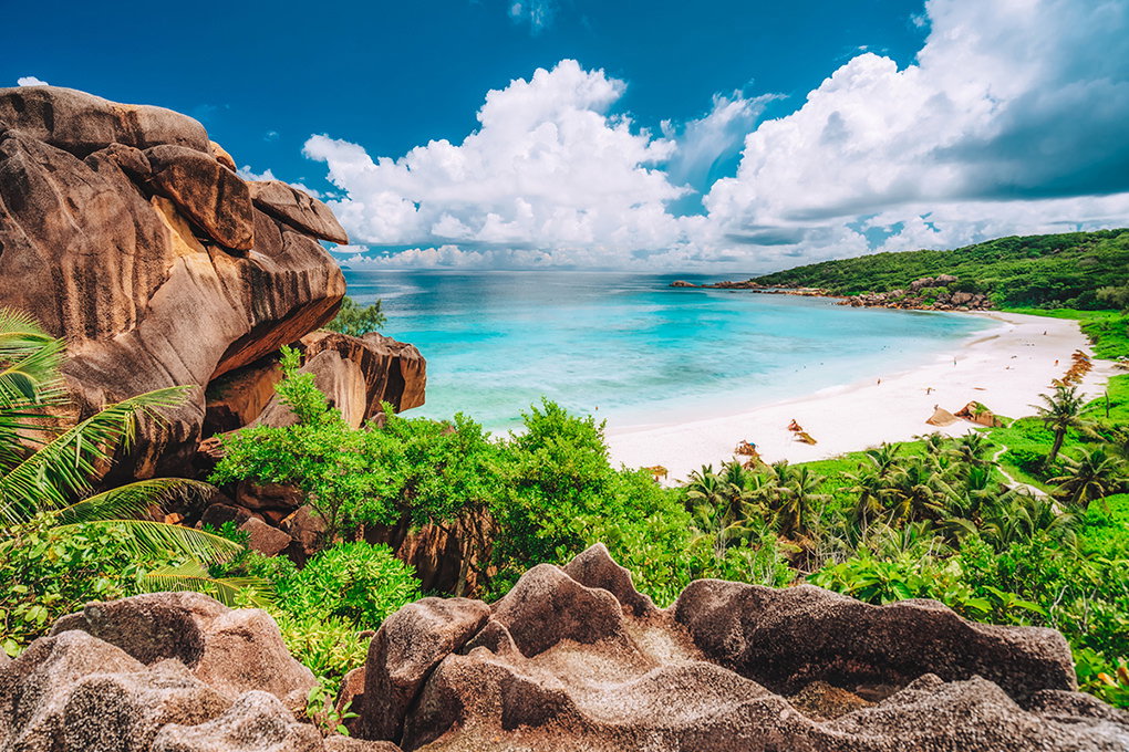 New Years Madagascar to Seychelles Cruise
