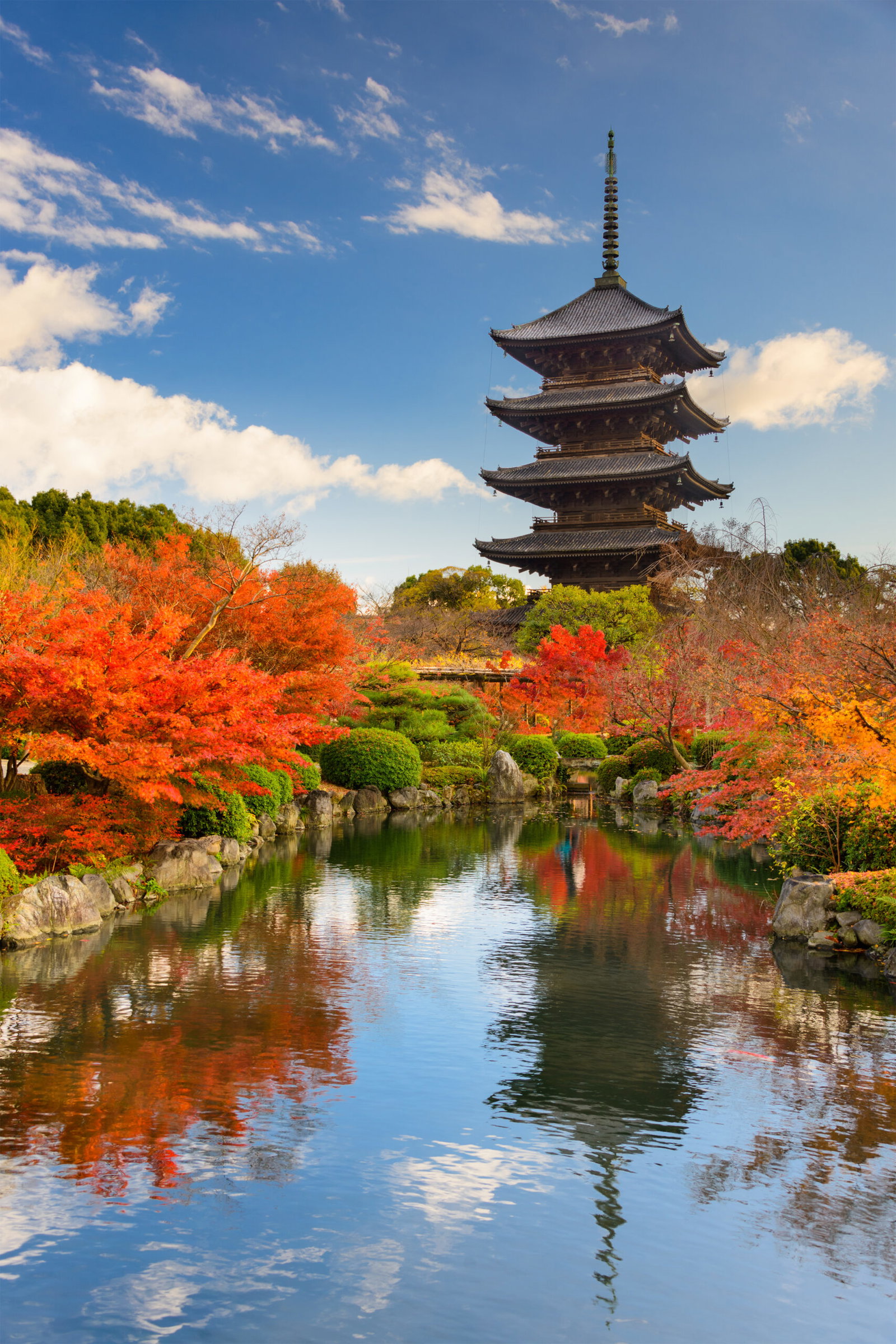 Mystical & Modern Japan
